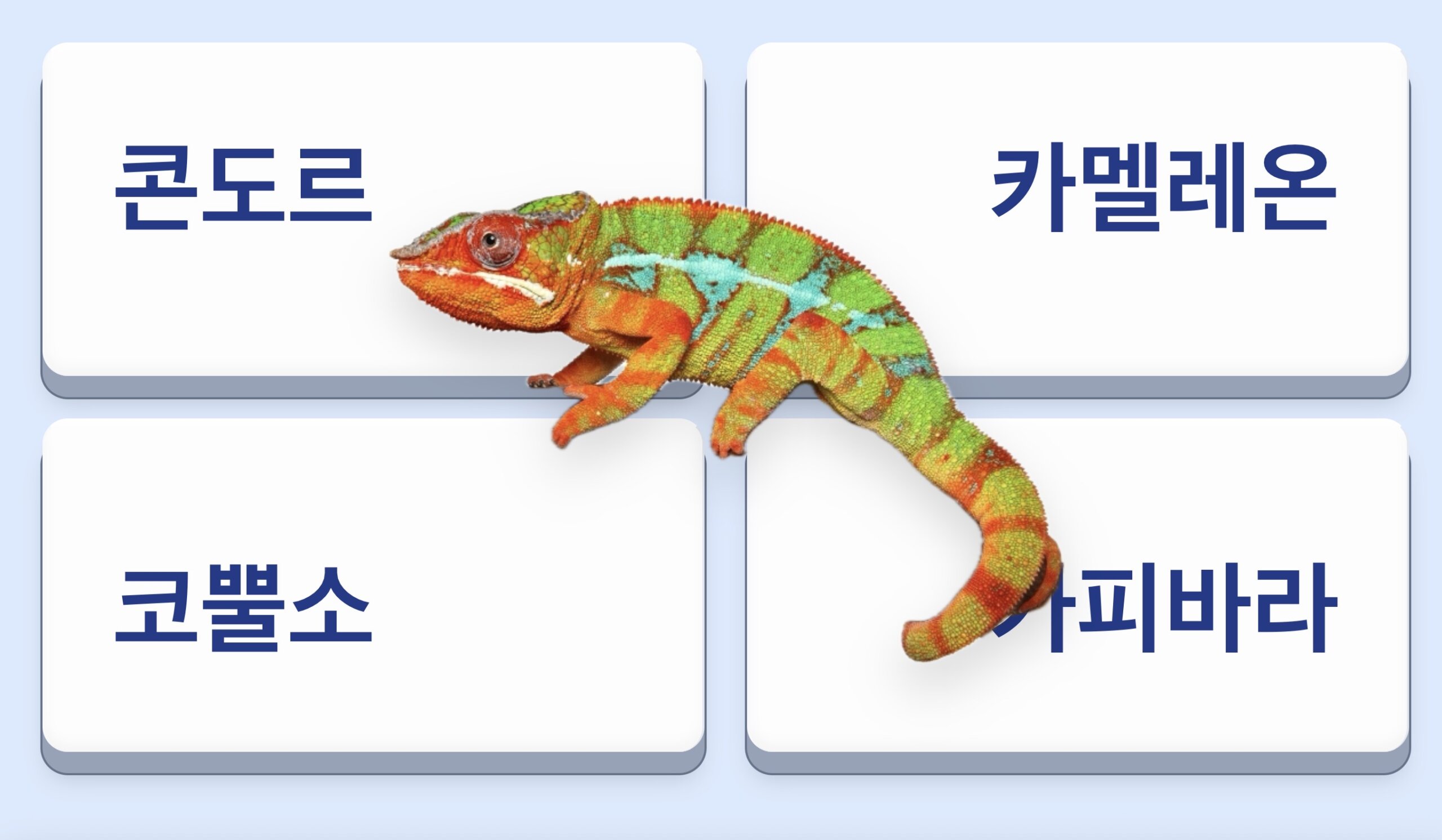 ㅋ 초성 동물 ㅣ보기 4개