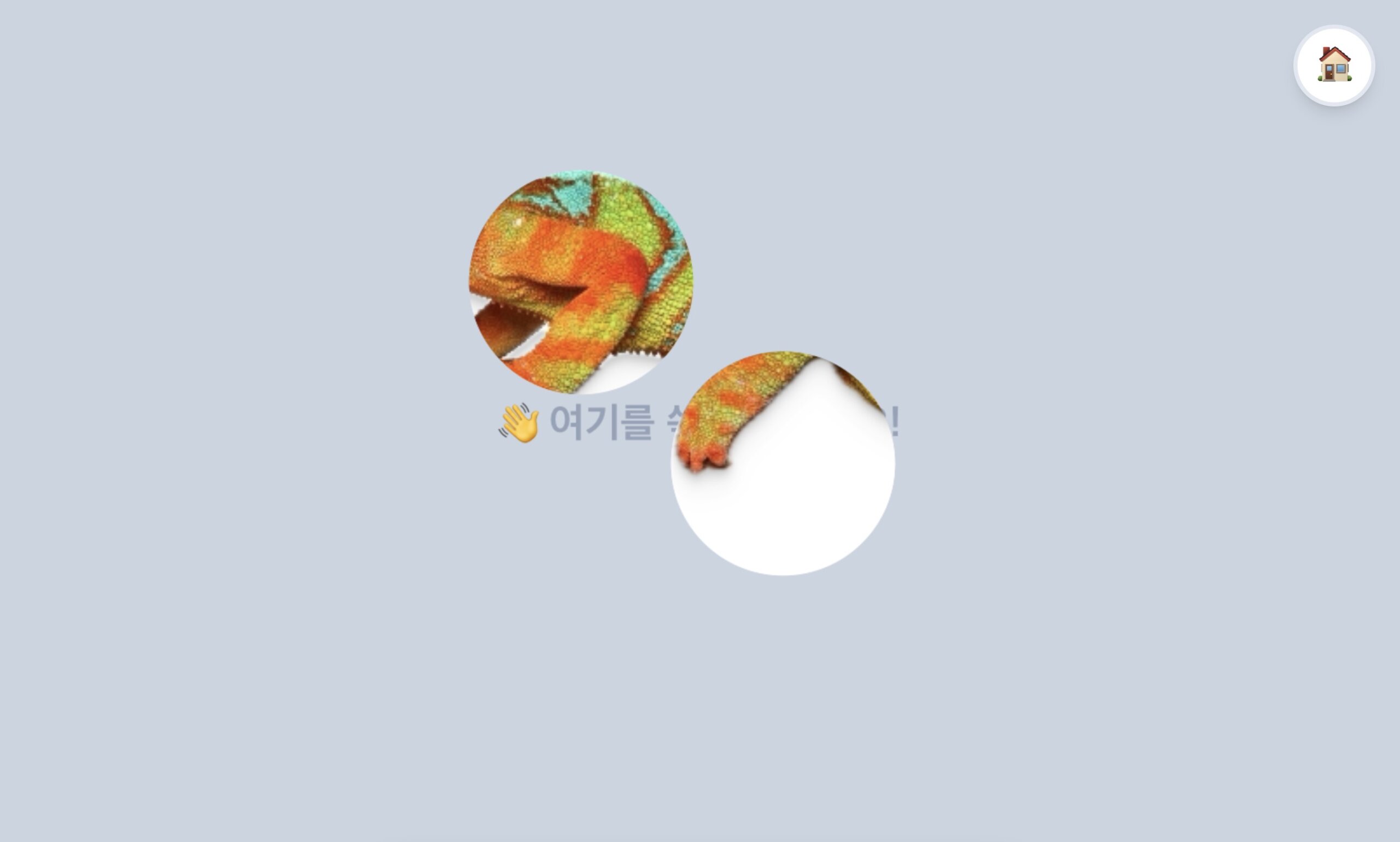 숨은 ㅋ 동물 찾기
