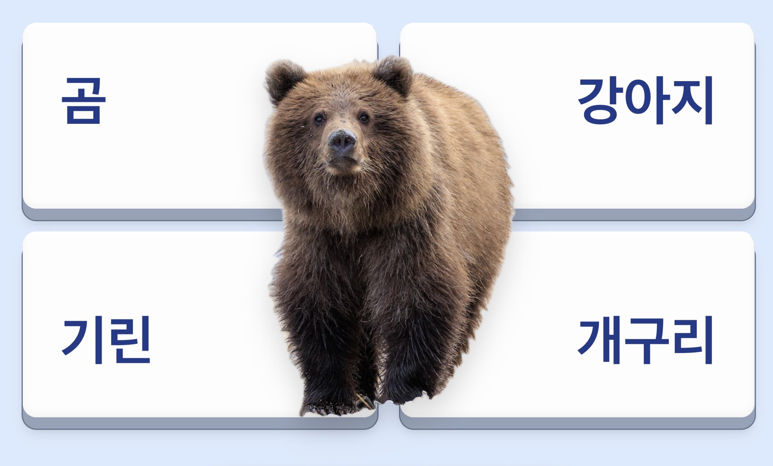 ㄱ 동물 ㅣ 보기 4개